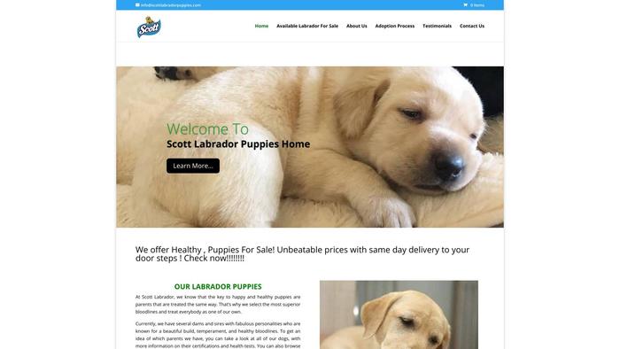 Scottlabradorpuppies.com - Labrador Puppy Scam Review