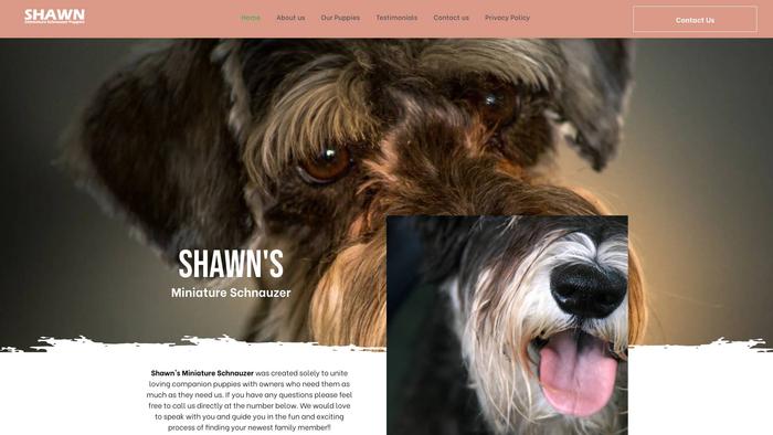 Shawnsminiatureschnauzer.com - Schnauzer Puppy Scam Review