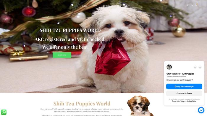 Shihtzupuppiesworld.com - Shihtzu Puppy Scam Review