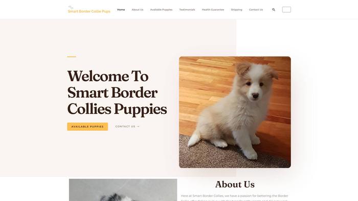 Smartbordercolliepups.com - Bordercollie Puppy Scam Review