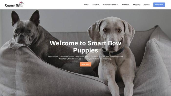 Smartbowpuppies.com - Poodle Puppy Scam Review