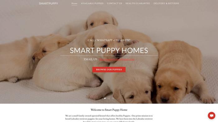 Smartpuppyhome.com - Labrador Puppy Scam Review