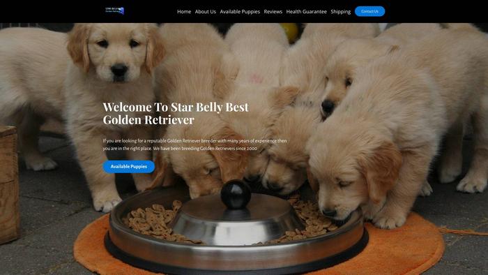 Starbellybestgoldenretriever.com - Golden Retriever Puppy Scam Review