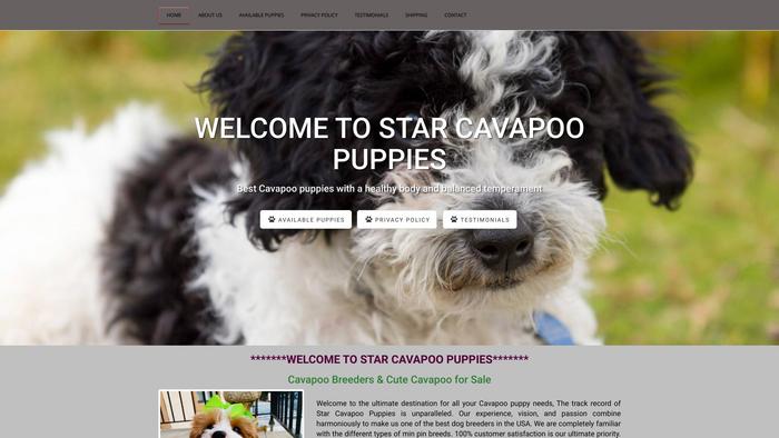 Starcavapoopuppies.com - Cavapoo Puppy Scam Review