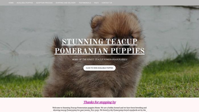 Stunningpompuppies.com - Pomeranian Puppy Scam Review