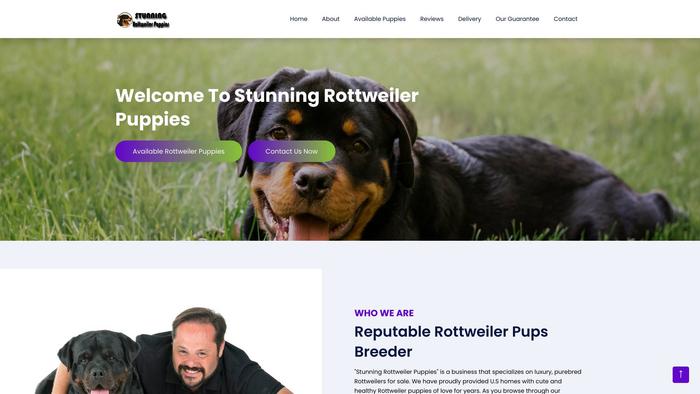 Stunningrottweilerpuppies.com - Rottweiler Puppy Scam Review