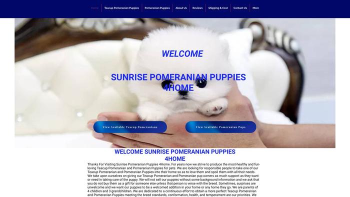 Sunrisepomeranians4homes.com - Pomeranian Puppy Scam Review