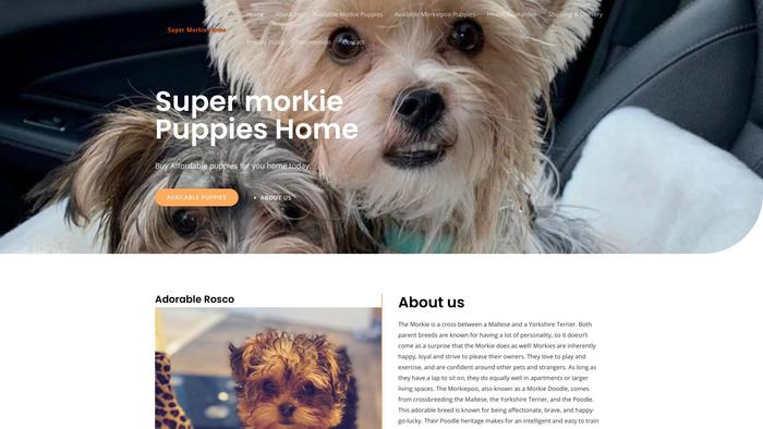 Supermorkiepuppieshome.com - Yorkshire Terrier Puppy Scam Review