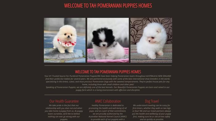 Tahpomeranianpuppieshome.com - Pomeranian Puppy Scam Review