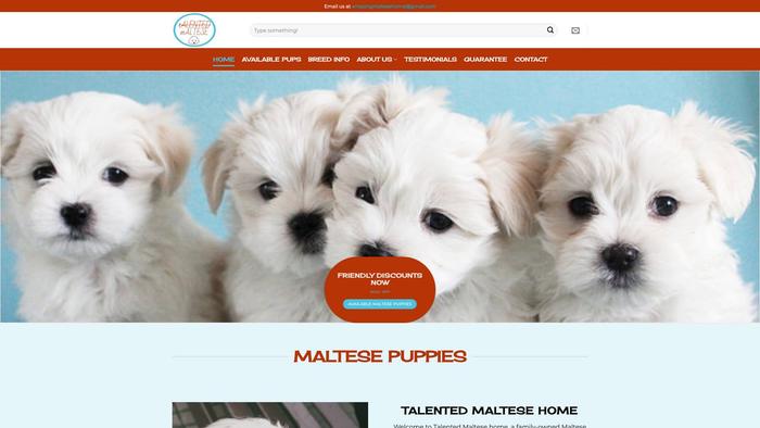 Talentedmaltesepups.com - Maltese Puppy Scam Review