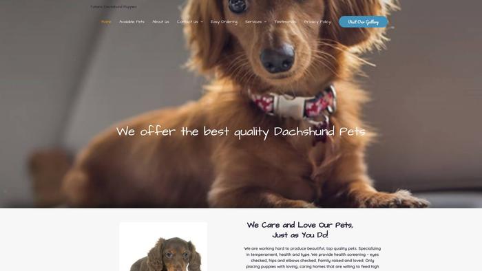 Tatianadachshundpuppiesavailable.com - Dachshund Puppy Scam Review