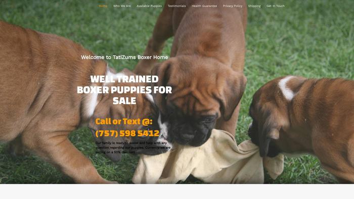 Tatizumsboxershome.com - Boxer Puppy Scam Review