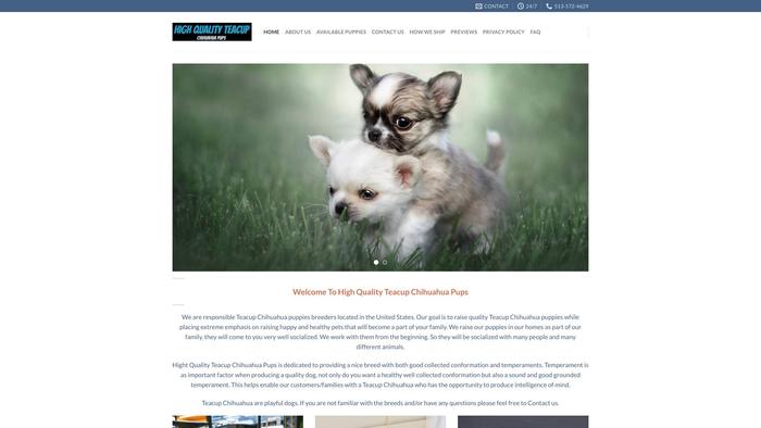 Teacupchihuahuapuppiesforsale.com - Chihuahua Puppy Scam Review