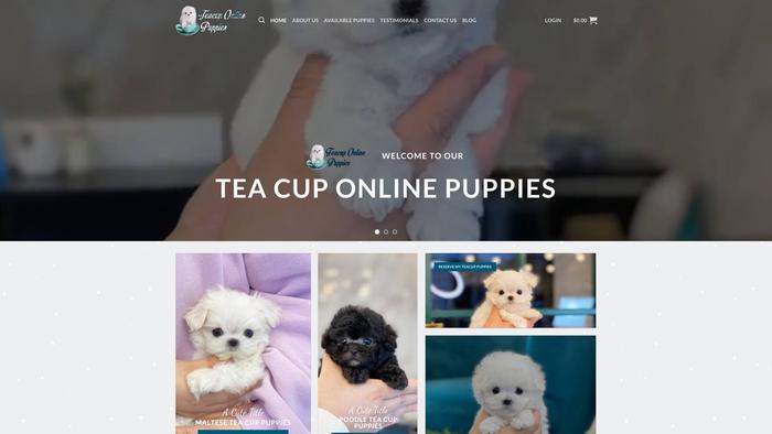 Teacuponlinepuppies.com - Yorkshire Terrier Puppy Scam Review