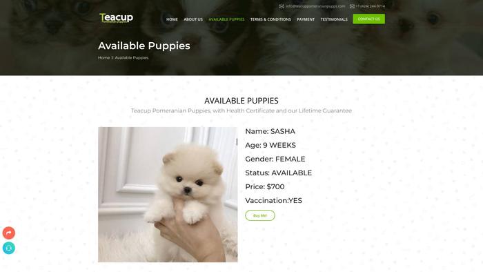 Teacuppomeranianpupps.com - Pomeranian Puppy Scam Review