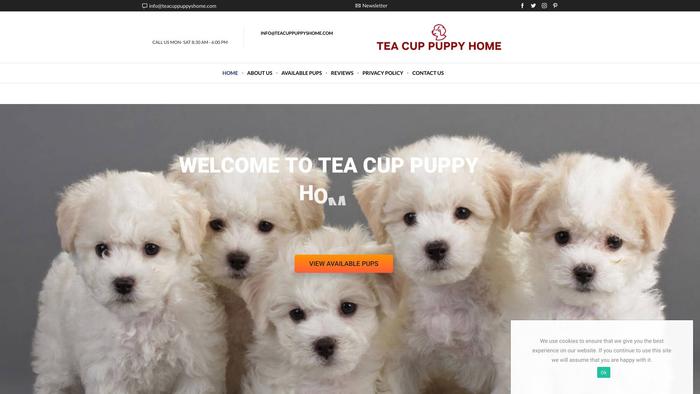 Teacuppuppyshome.com - Yorkshire Terrier Puppy Scam Review