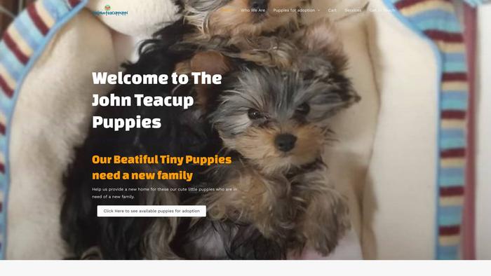 Thejohnteacuppuppies.com - Yorkshire Terrier Puppy Scam Review