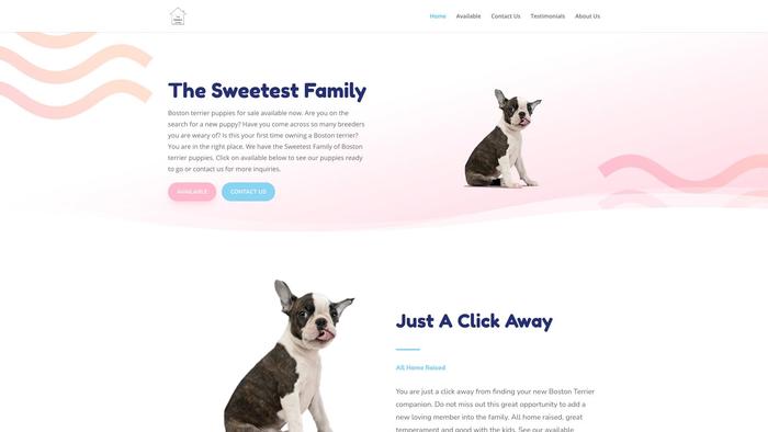 Thesweetestfamily.com - Boston Terrier Puppy Scam Review