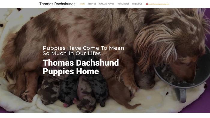 Thomasdachshund.net - Dachshund Puppy Scam Review