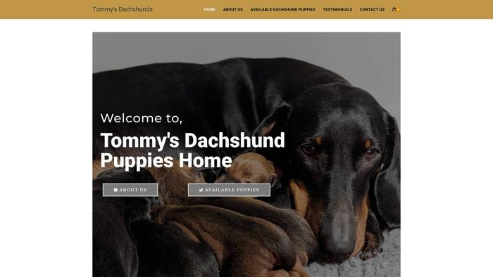 Tommydachshunds.com - Dachshund Puppy Scam Review