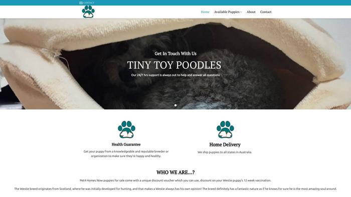 Toypoodlepup.com - Poodle Puppy Scam Review