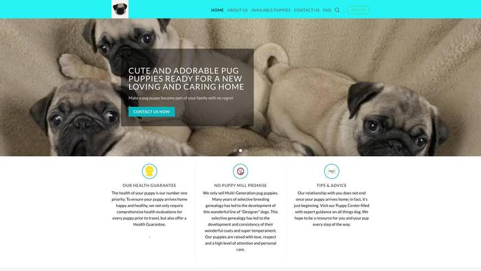 Trainedpugpuppies.com - Pug Puppy Scam Review