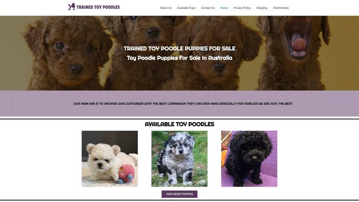 Trainedtoypoodlepuppies.com - Poodle Puppy Scam Review