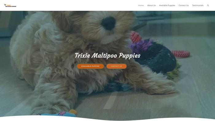 Trixiemaltipoopuppies.com - Maltipoo Puppy Scam Review