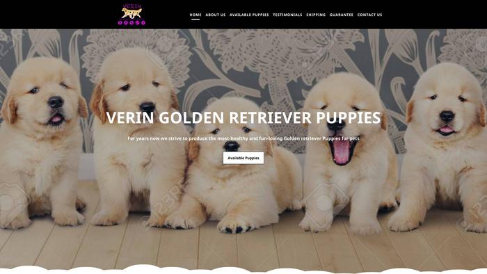 Veringoldenretrieverpups.com - Golden Retriever Puppy Scam Review