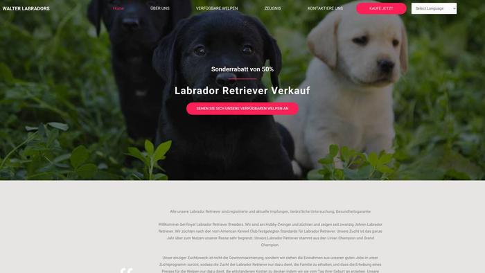 Walterlabradors.com - Labrador Puppy Scam Review