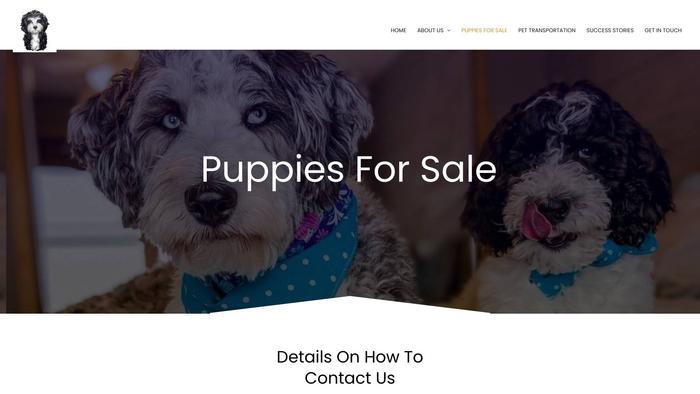 Wdaussiedoodles.com - Australian Shepherd Puppy Scam Review