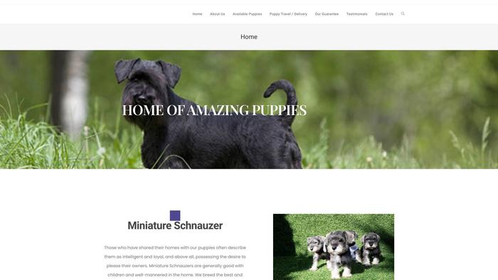 Wdminiatureschnauzer.com - Schnauzer Puppy Scam Review