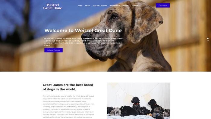 Weitzelgreatdane.com - Great Dane Puppy Scam Review