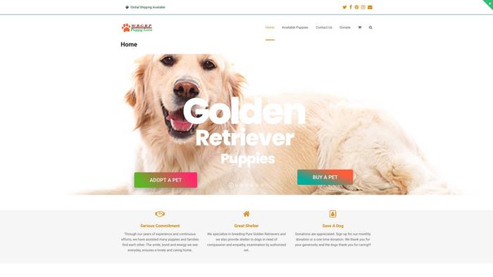 Wellbredgoldenretrieverpuppies.com - Golden Retriever Puppy Scam Review