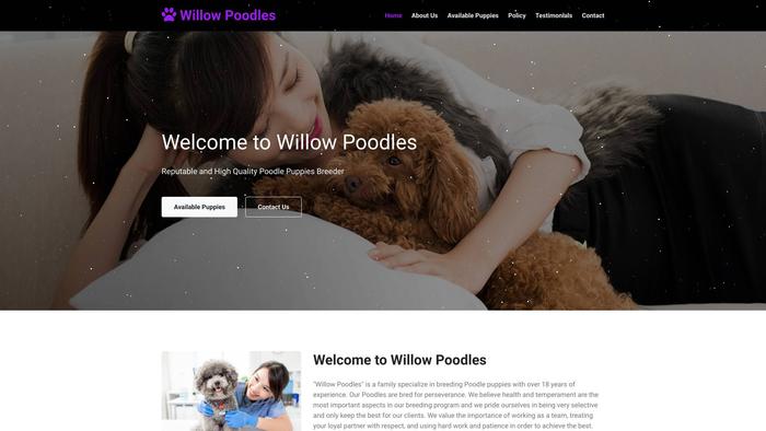 Willowpoodles.com - Poodle Puppy Scam Review