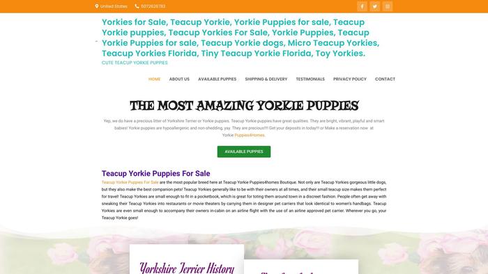 Yorkiepuppy4homes.com - Yorkshire Terrier Puppy Scam Review