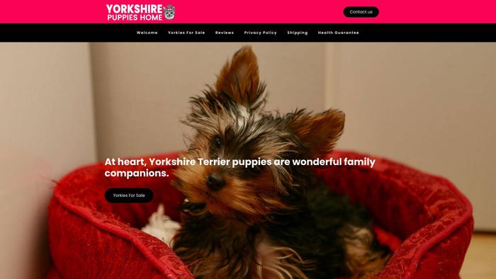 Yorkshirepuppieshomes.com - Yorkshire Terrier Puppy Scam Review