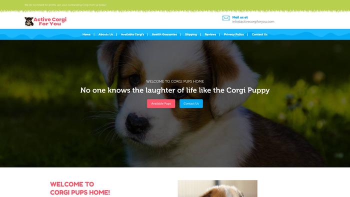 Activecorgiforyou.com - Corgi Puppy Scam Review