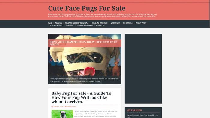 Activepughome.com - Pug Puppy Scam Review