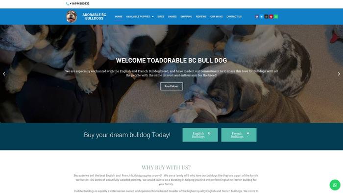 Adorablebcbulldogs.com - Bulldog Puppy Scam Review