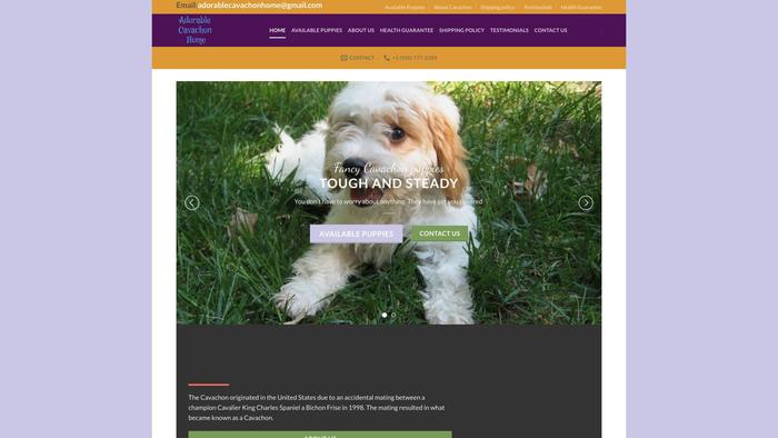 Adorablecavachonhome.com - Cavachon Puppy Scam Review