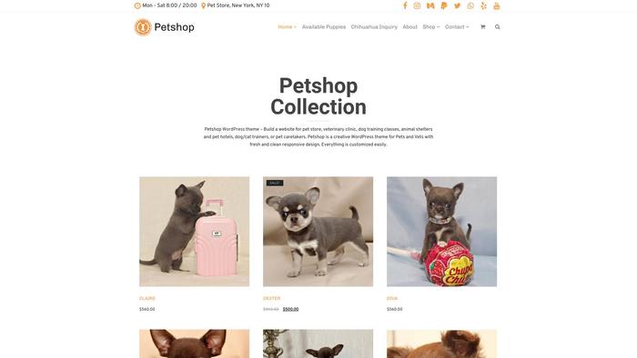 Adorablechihuahuapuppies.com - Chihuahua Puppy Scam Review