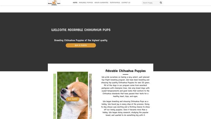 Adorablechihuahuapups.com - Chihuahua Puppy Scam Review