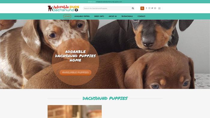 Adorabledachshundpuppieshome.com - Dachshund Puppy Scam Review