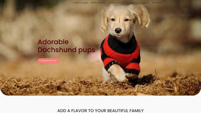 Adorabledachshundpups.us - Dachshund Puppy Scam Review