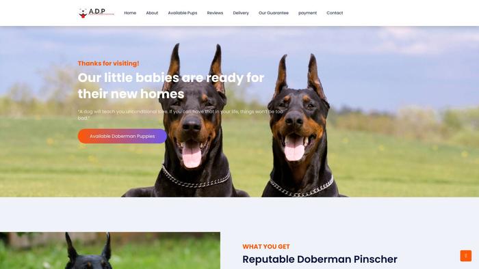 Adorabledobermanpincher.com - Doberman Pinscher Puppy Scam Review