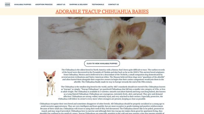 Adorableteacupchihuahuababies.com - Chihuahua Puppy Scam Review