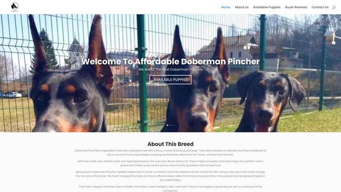 Affordabledobermanpuppiesforsalenearme.com - Doberman Pinscher Puppy Scam Review