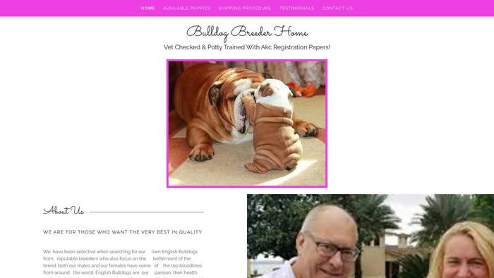 Akcbbhome.club - English Bulldog Puppy Scam Review