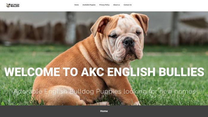 Akcenglishbullies.com - English Bulldog Puppy Scam Review